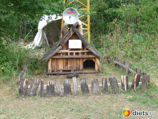 ����� �����, ������: ���� 2012