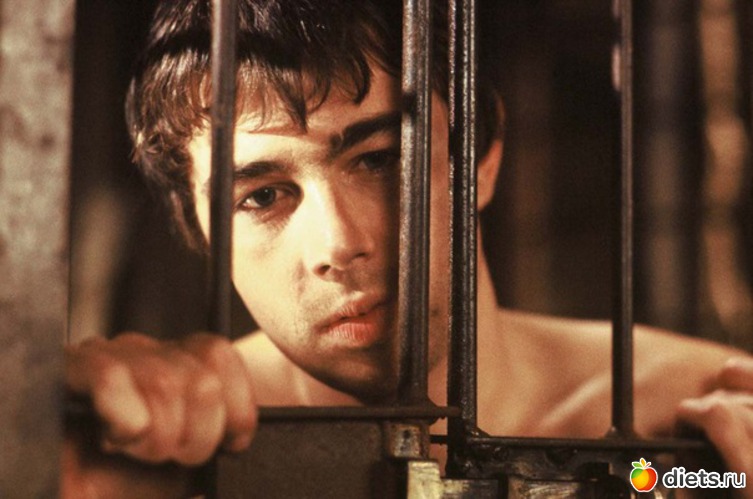 1 ����: ��������,�����