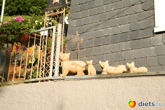 ��� ����� ����� �� ������..., ������: ������ � �������� ������ 2012