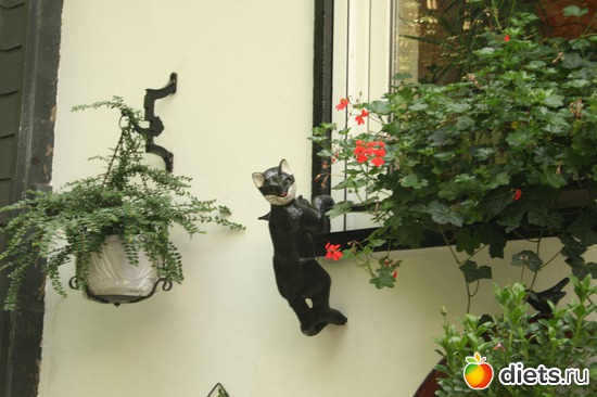 � ������...�� ���� � ������ �����������..., ������: ������ � �������� ������ 2012