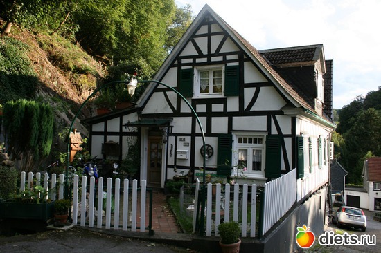 ��� ����� ��������� ������..., ������: ������ � �������� ������ 2012