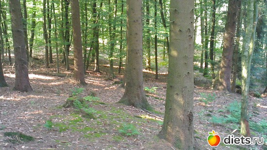 �������� ����� � ����...������ ���������..., ������: ������ � �������� ������ 2012