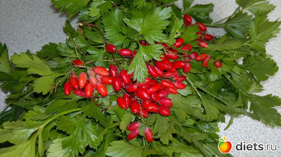 6 ����: ��� ������� �����