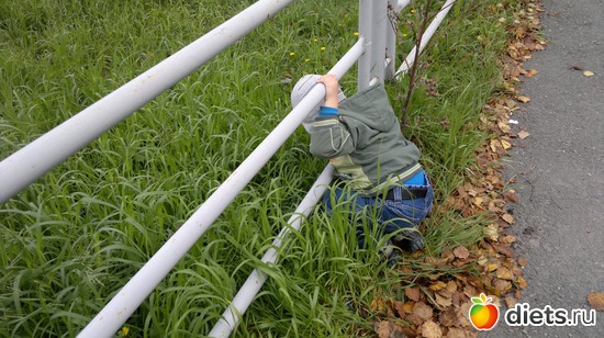 9 ����: ��� ������� �����