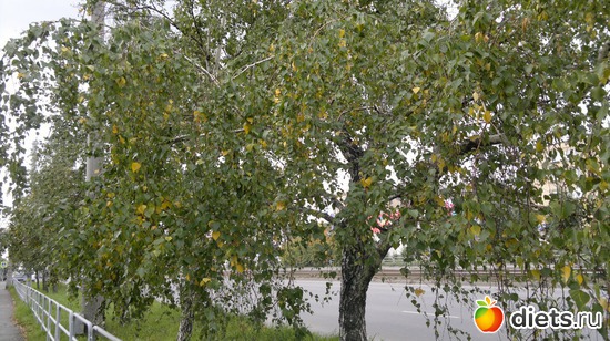 10 ����: ��� ������� �����