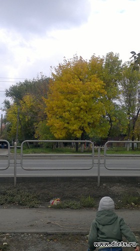 17 ����: ��� ������� �����