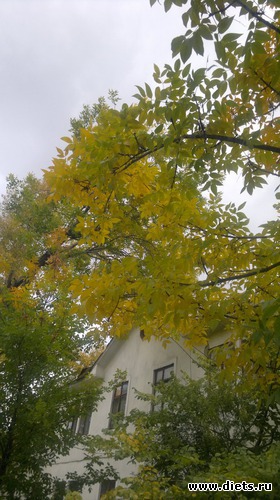 18 ����: ��� ������� �����