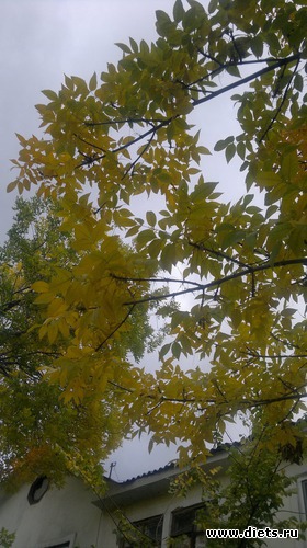 19 ����: ��� ������� �����