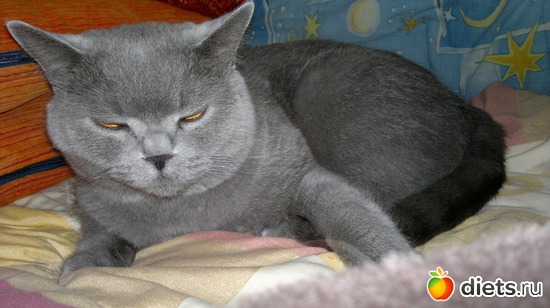 23 ����: ��� ������� �����