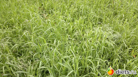 21 ����: ��� ������� �����