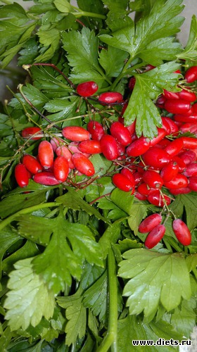 5 ����: ��� ������� �����