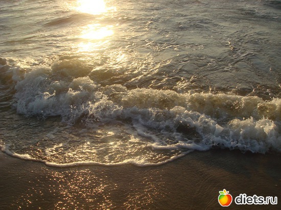 10 ����: ������