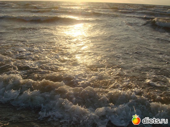 11 ����: ������