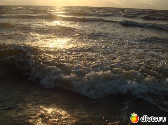 12 ����: ������