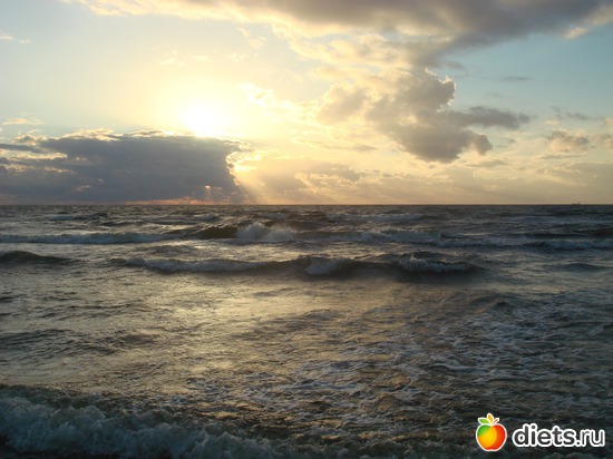 13 ����: ������