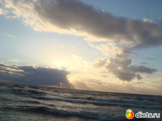 14 ����: ������