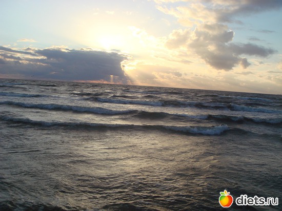 15 ����: ������