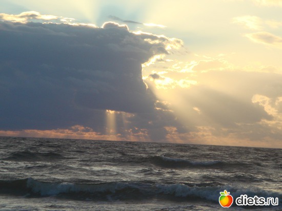 16 ����: ������