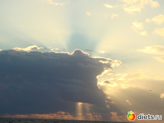 17 ����: ������