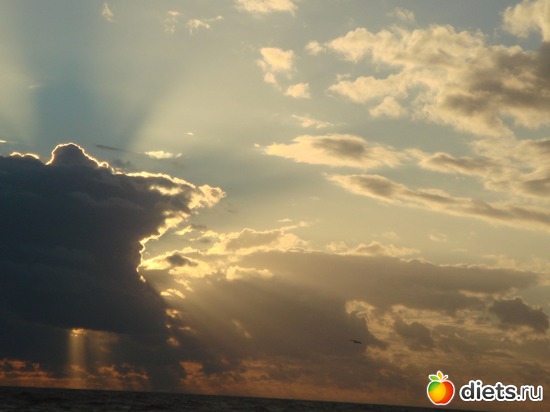 18 ����: ������