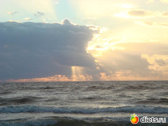 19 ����: ������