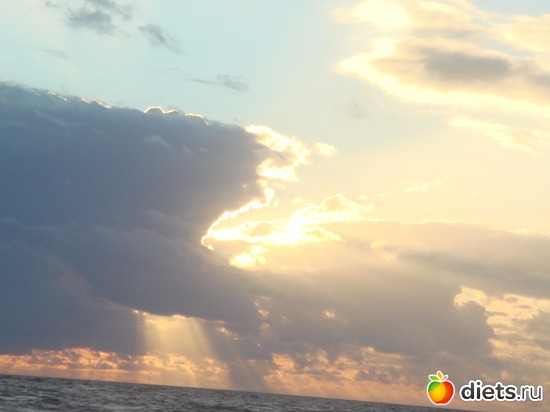 20 ����: ������