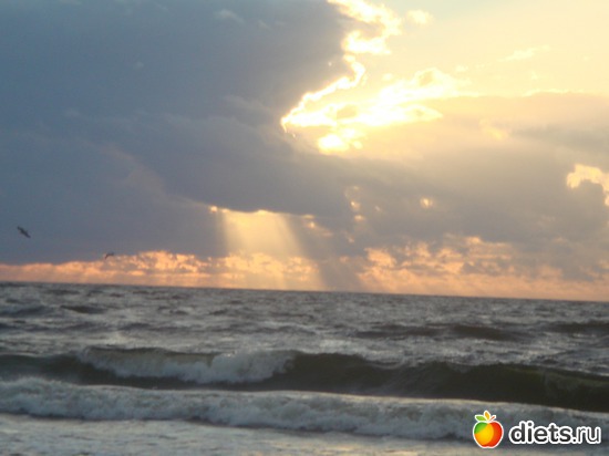 21 ����: ������