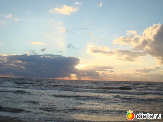 22 ����: ������