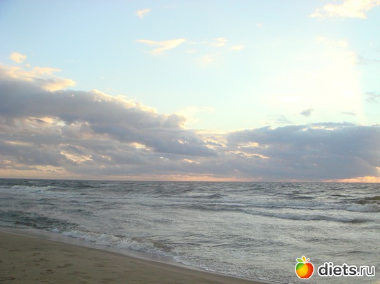 23 ����: ������