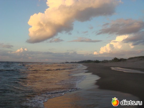 25 ����: ������