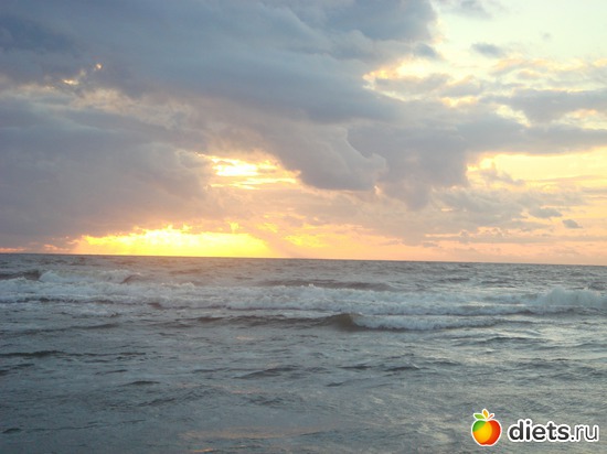 26 ����: ������