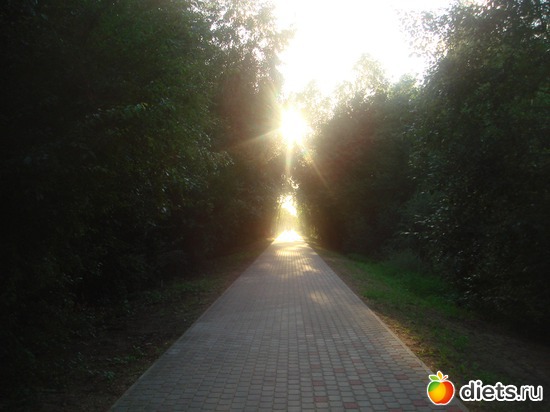 1 ����: �����