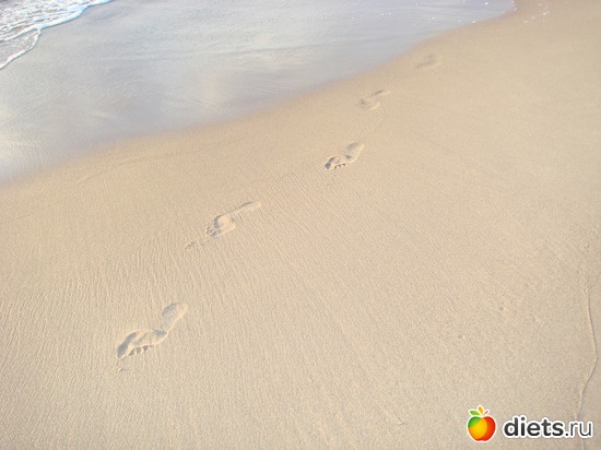 2 ����: �����