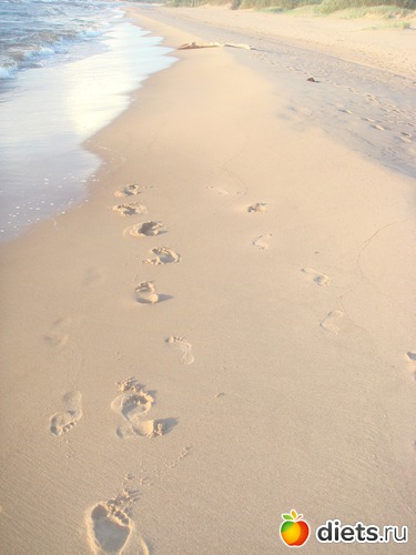 3 ����: �����