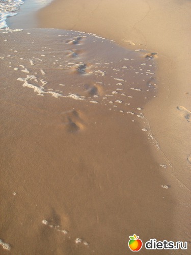 4 ����: �����