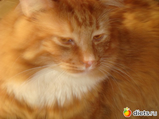 1 ����: �����(��� ����)