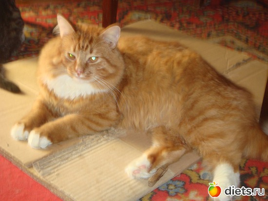 2 ����: �����(��� ����)