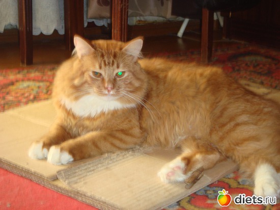 3 ����: �����(��� ����)