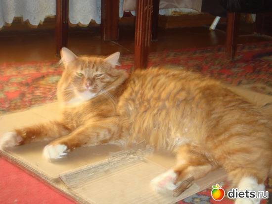 4 ����: �����(��� ����)