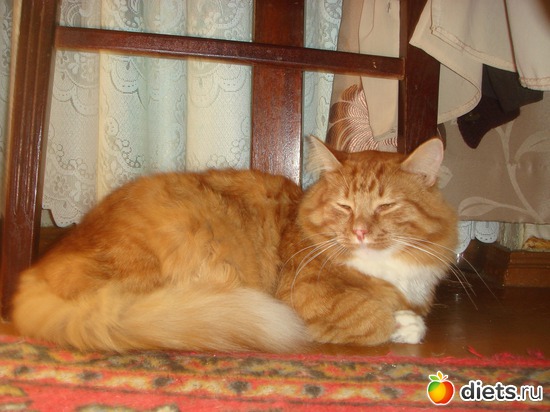 5 ����: �����(��� ����)