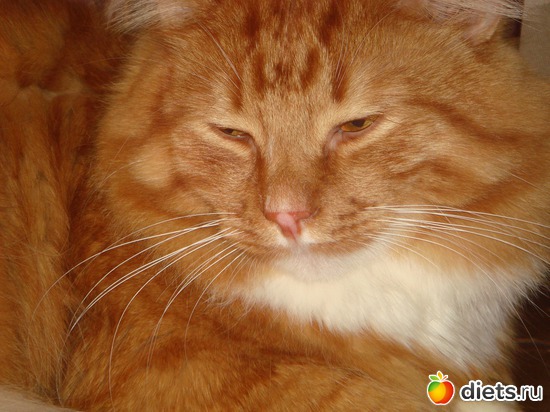 6 ����: �����(��� ����)