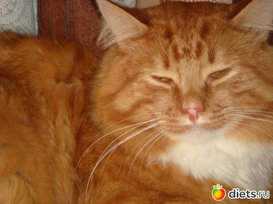 7 ����: �����(��� ����)