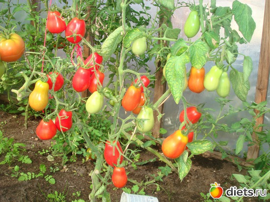 1 ����: ������ 2012