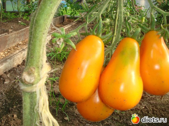 3 ����: ������ 2012