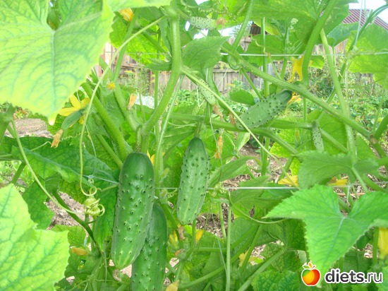 9 ����: ������ 2012