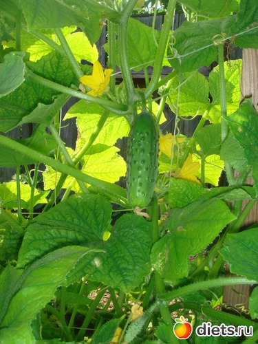 6 ����: ������ 2012