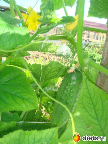 8 ����: ������ 2012