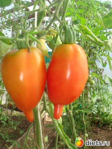 10 ����: ������ 2012