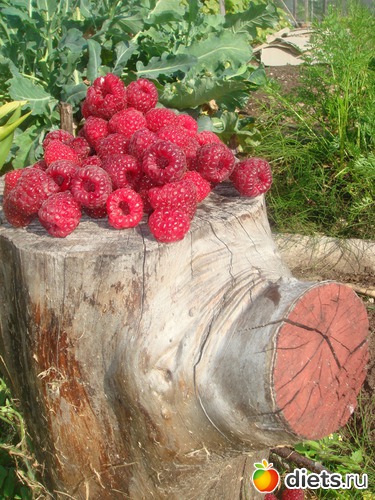 15 ��������, ������: ������ 2012