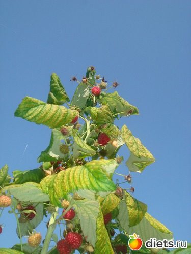 14 ����: ������ 2012